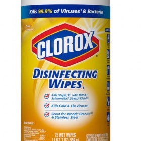 Disinfecting Wipes G00027
